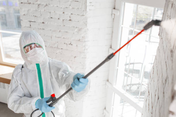Best Mold Remediation for Healthcare Facilities  in Ludlow, KY