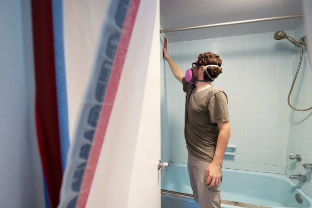 Best Mold Prevention Services  in Ludlow, KY