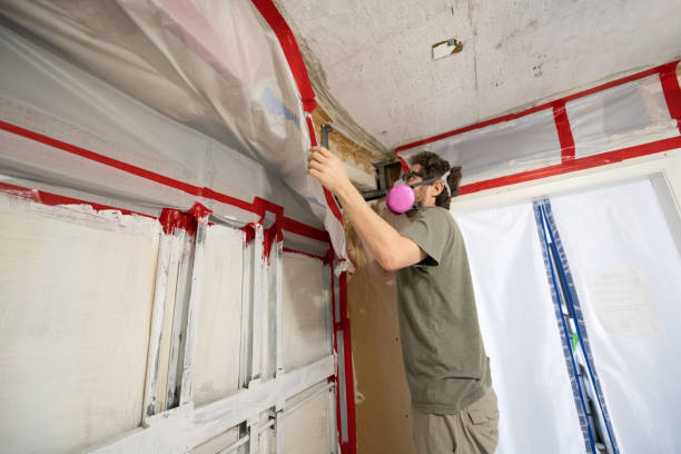 Best Residential Mold Inspection & Testing  in Ludlow, KY