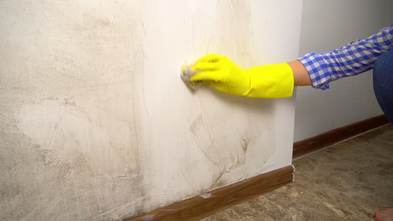 Best Dehumidification Services  in Ludlow, KY