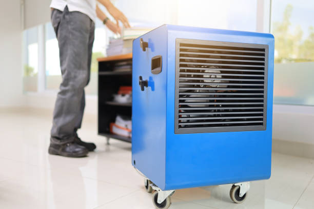 Best Forensic Mold Investigation  in Ludlow, KY