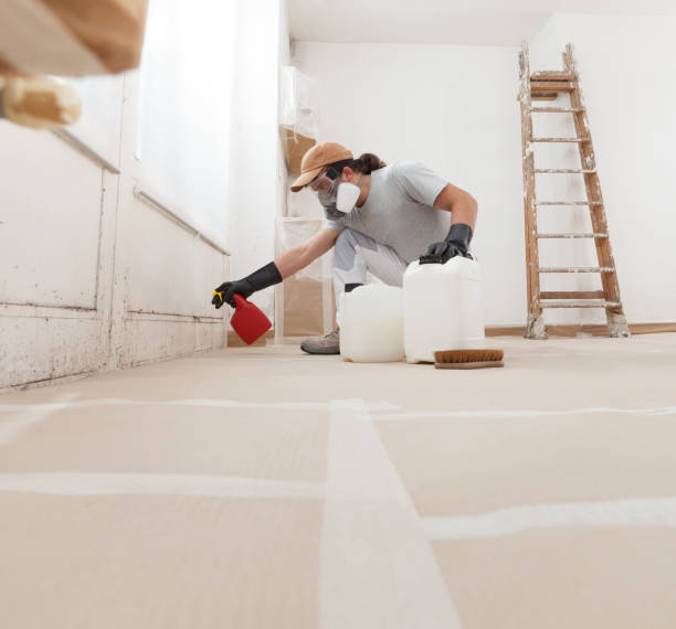 Best Biohazard Mold Removal  in Ludlow, KY